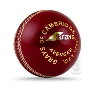 Gray Nicolls Avenger Cricket Ball – Junior