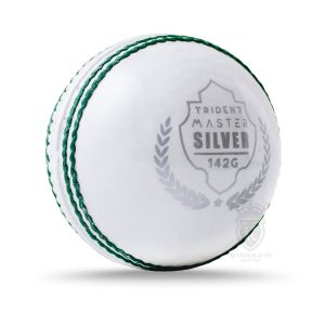 Trident Master Silver Cricket Ball – Junior (White)