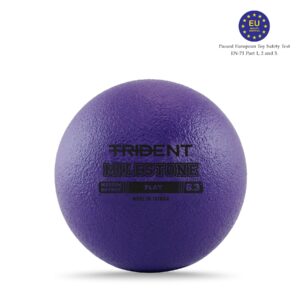 Trident Milestone Play Foam Ball – Purple (6.3″)